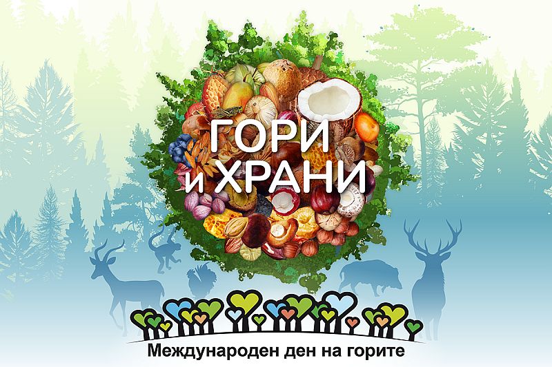 Изпълнителна агенция по горите | Новини